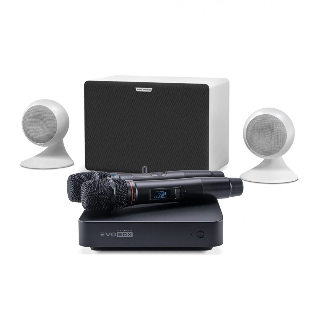 караоке-комплект EVOBOX Classic + EvoSound Sphere 2.1 в Сочи