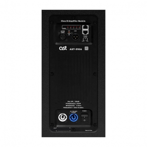 Активная акустическая система AST-310A в Сочи